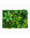 Декоративно пано с изкуствени зелени растения 010| 40x60см